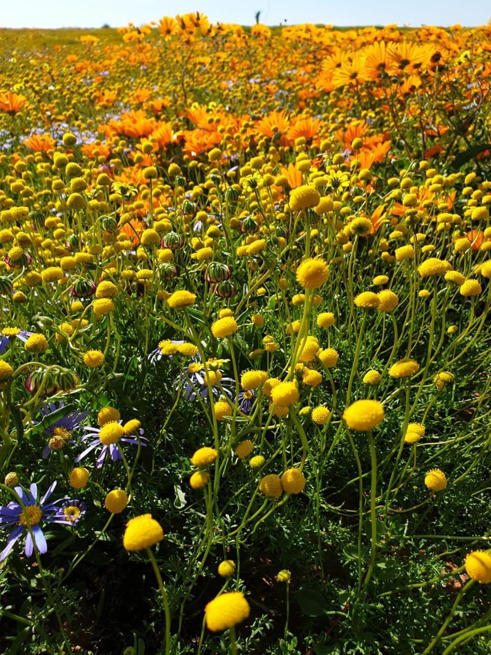 Namaqualand Eco Lodge Soebatsfontein Bagian luar foto