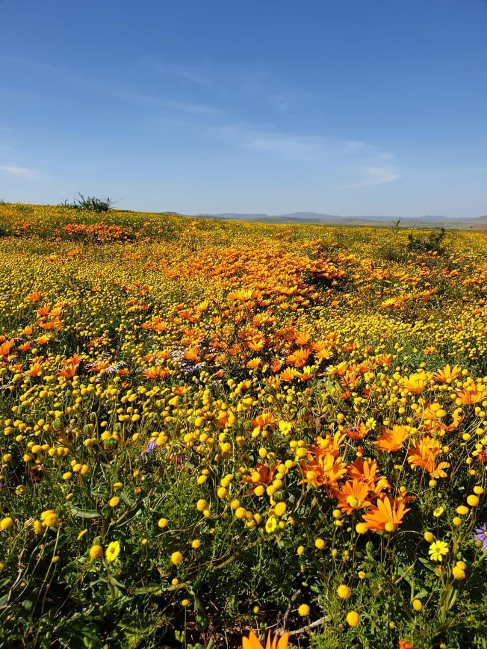 Namaqualand Eco Lodge Soebatsfontein Bagian luar foto