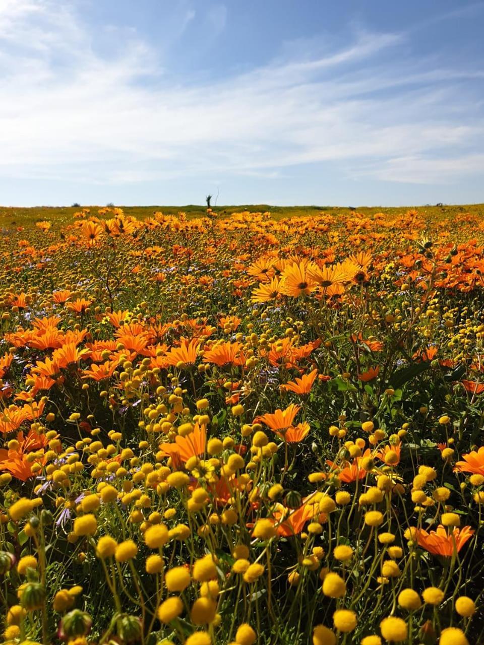 Namaqualand Eco Lodge Soebatsfontein Bagian luar foto