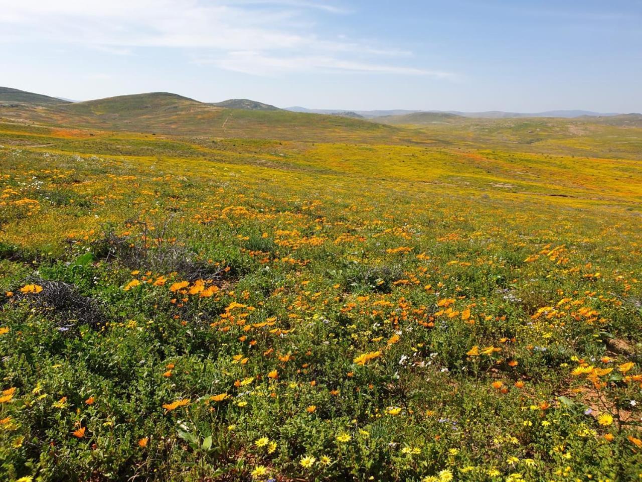 Namaqualand Eco Lodge Soebatsfontein Bagian luar foto